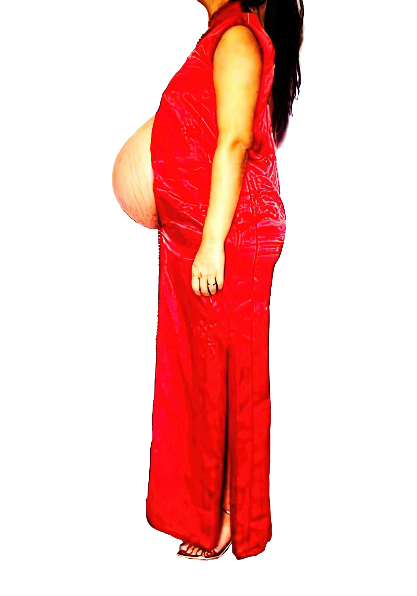 Le Corps Pansant - 2009